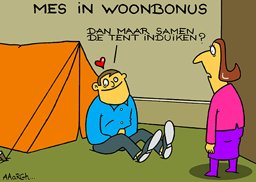De Vlaamse regering plant het mes in de Woonbonus vanaf januari 2015