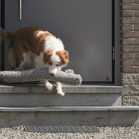 Tochthonden worden een kunstwerk – Hörmann voordeur onderaan winddicht met lage drempel